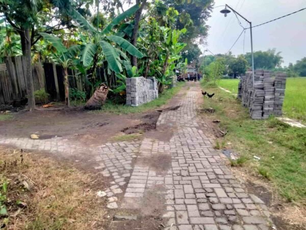 WhatsApp Image 2025-05-27 at 12.23.09_2751877c-min