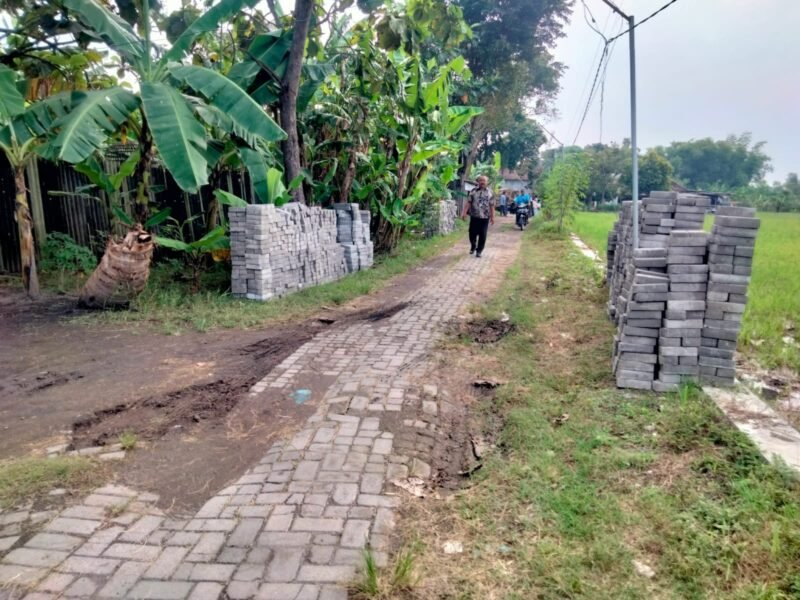 WhatsApp Image 2025-05-27 at 12.23.09_efd4ecc1