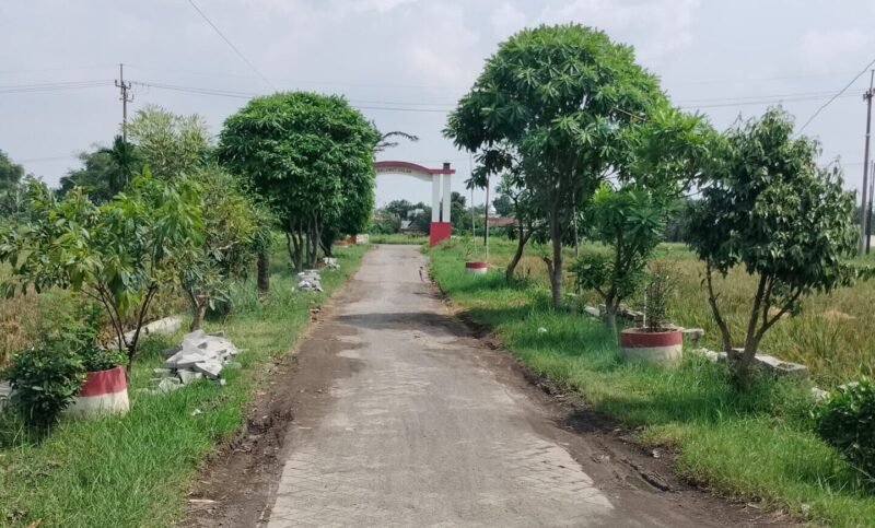 WhatsApp Image 2025-06-02 at 10.55.42_9de02256